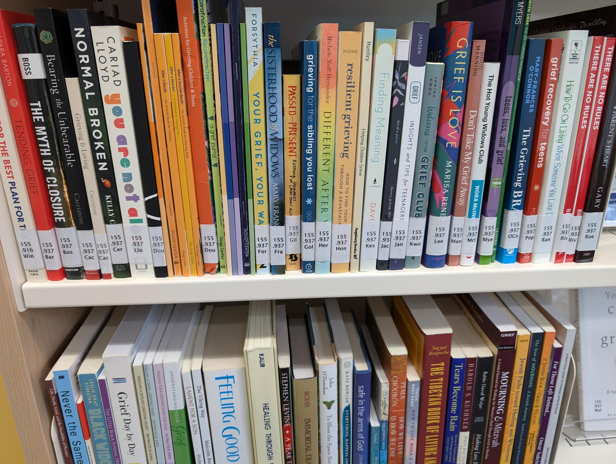 Two rows of library books sitting on antique white metal shelves