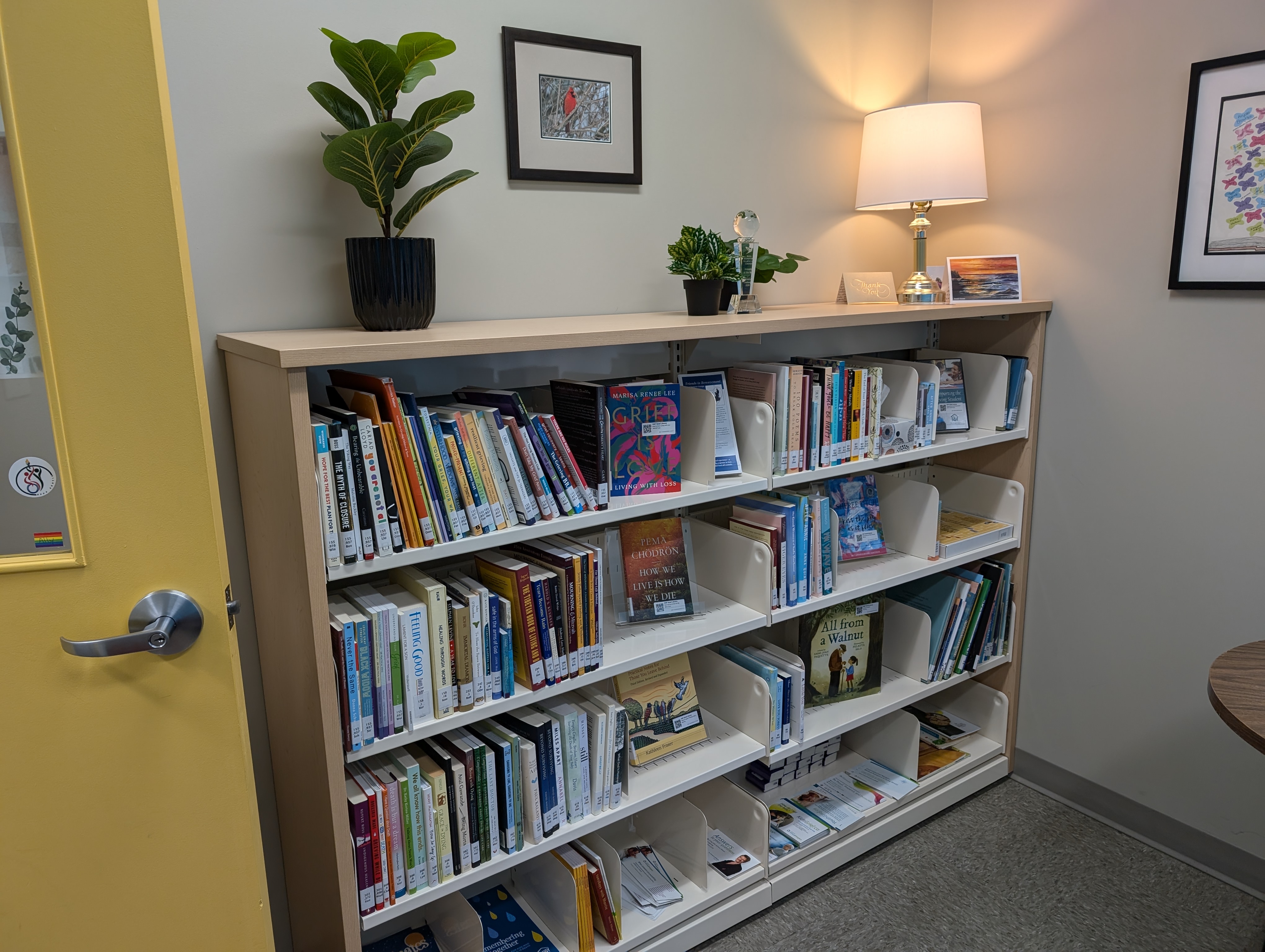A library shelving unit that is 4 shelves high, and 2 shelves wide. Each shelf is about half to two-thirds full. There are plants, pictures, and a lamp on top and the shelf sits in the left corner of the library space.
